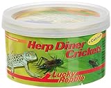 Lucky Reptile Herp Diner - Crickets groß 35 g, gekochte Insekten für insektenfressende Heimtiere